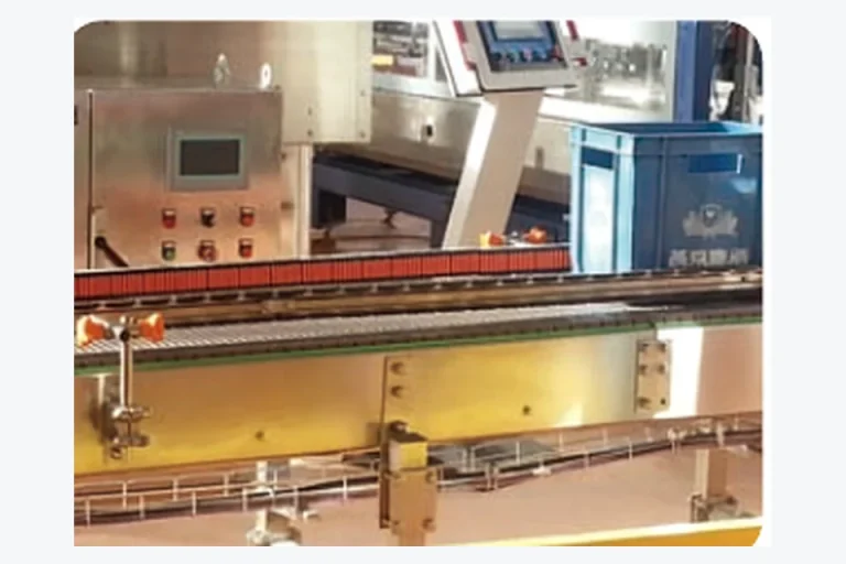 Food processing conveyor line
