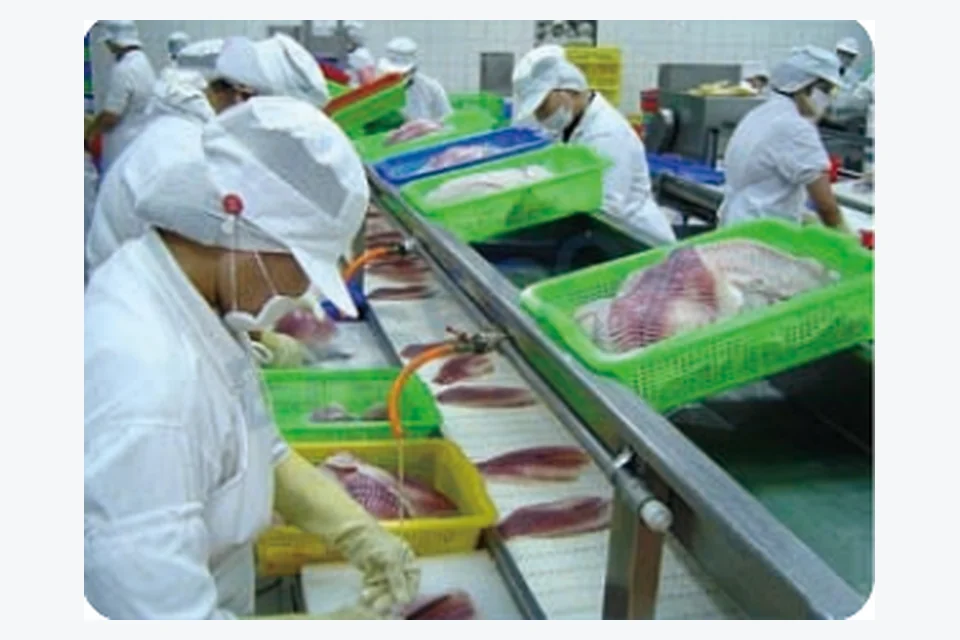 Seafood Processing